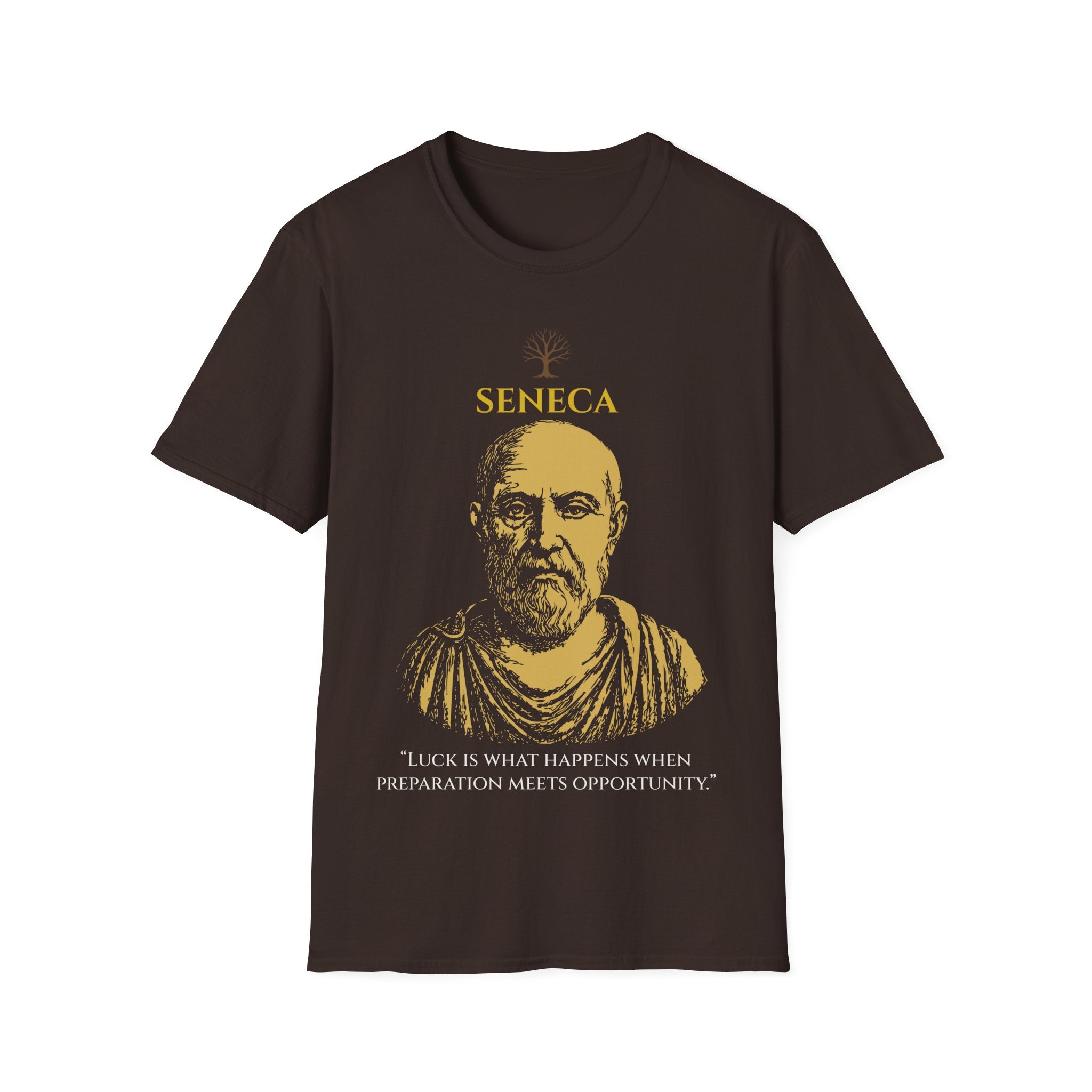 Seneca — Luck & Preparation